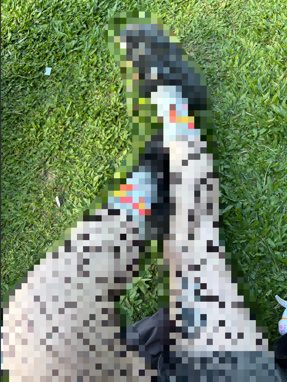 Losers Get Censored Legs