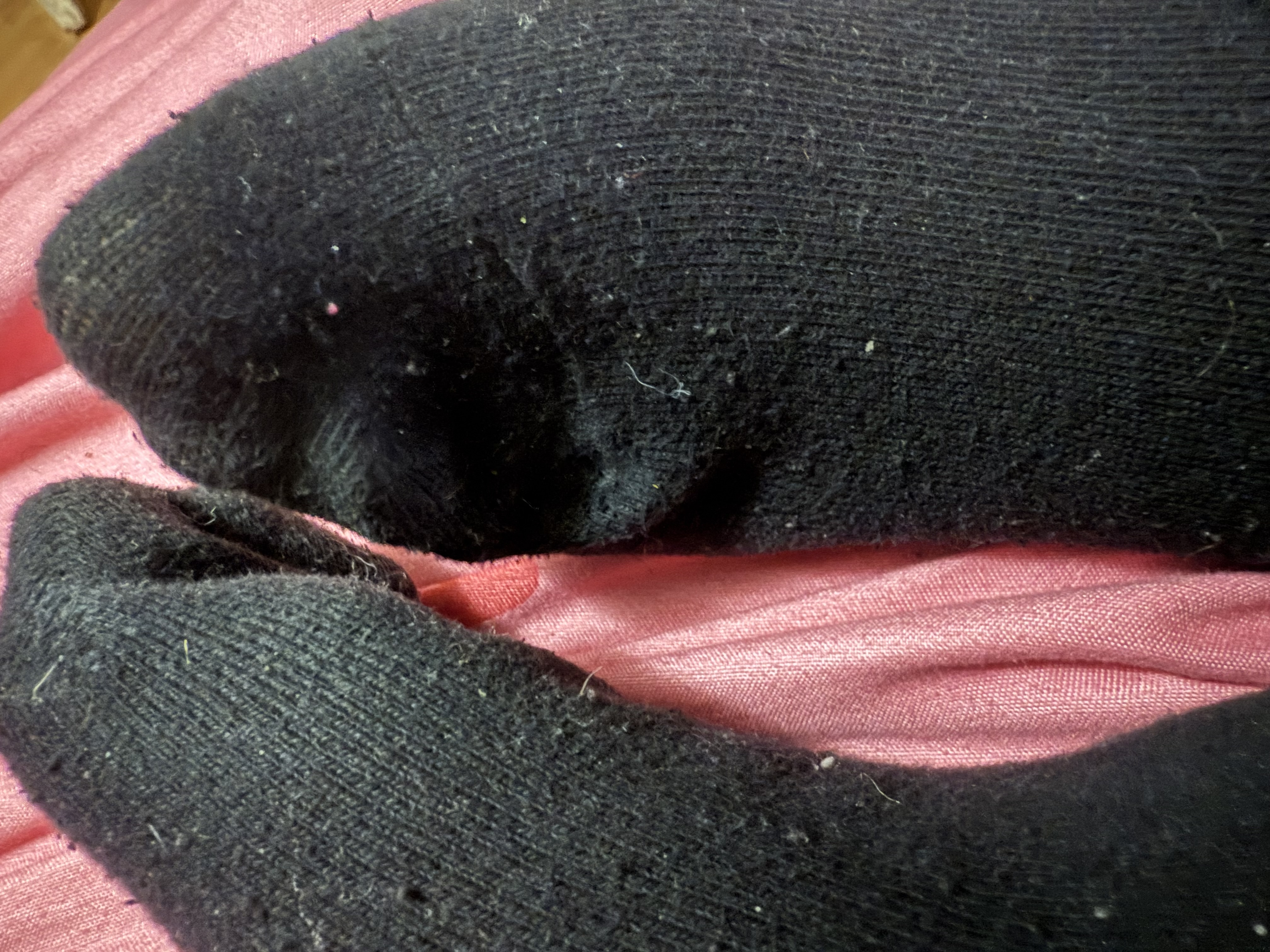 Bow Down To Princess Socks