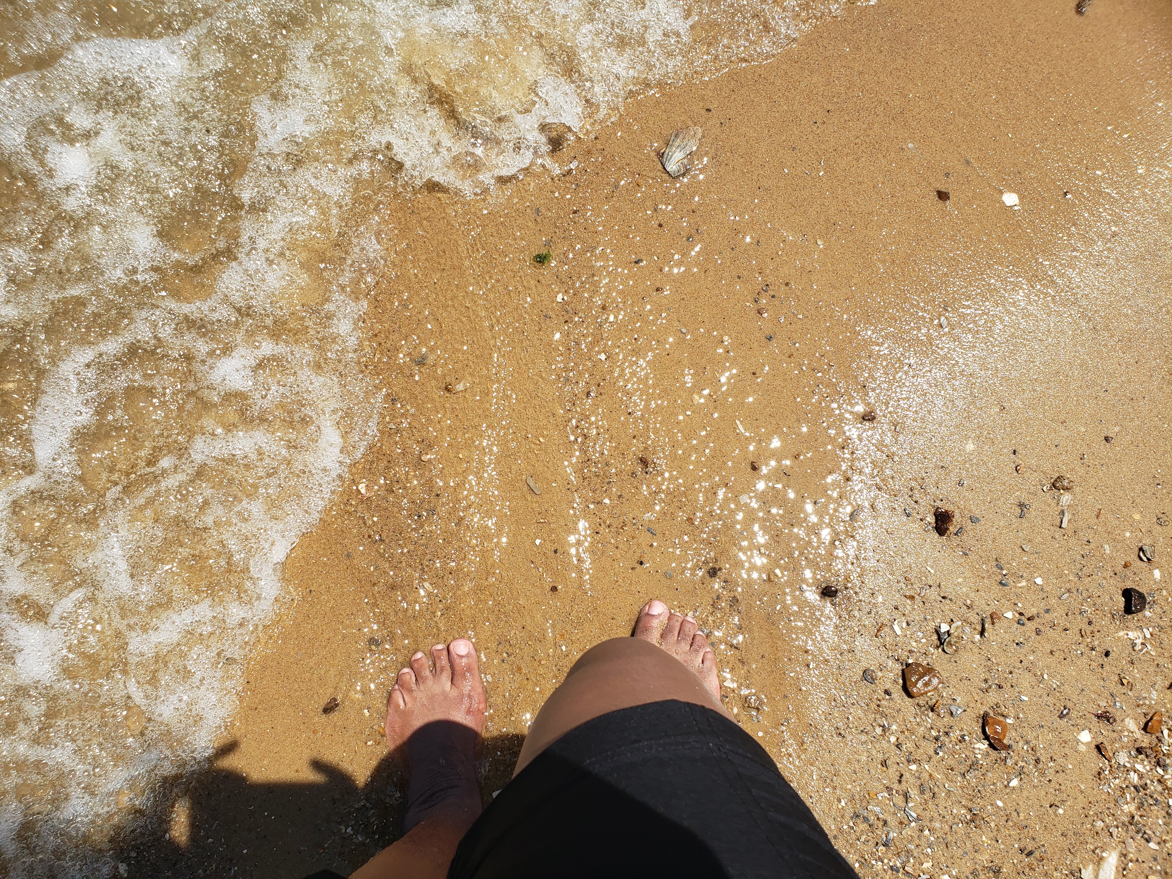 Nature Walking In Water