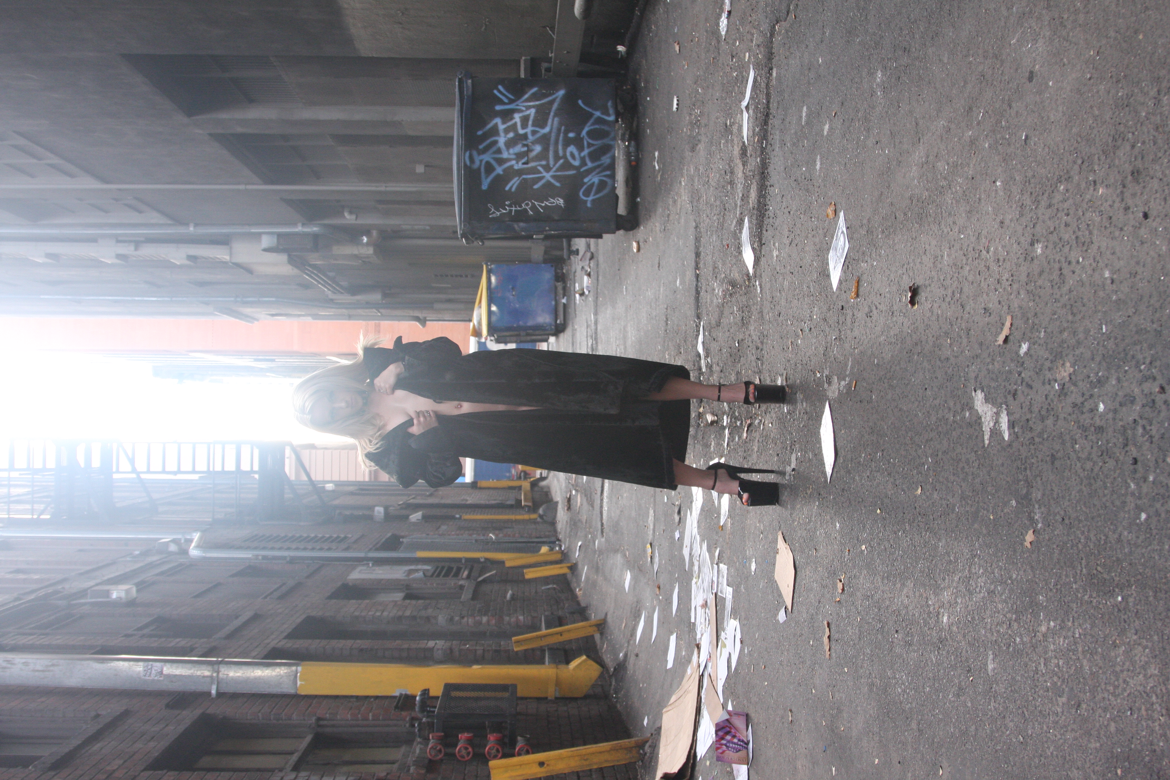 Alley Cat