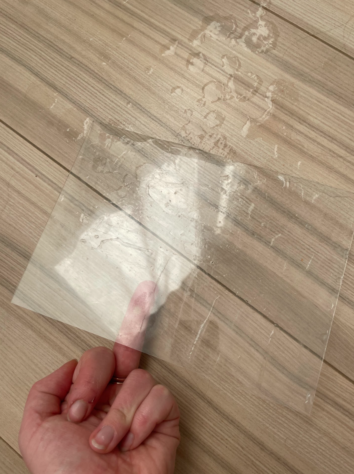 Clean My Wet Floor, Bitch (Yummmmm Saliva)