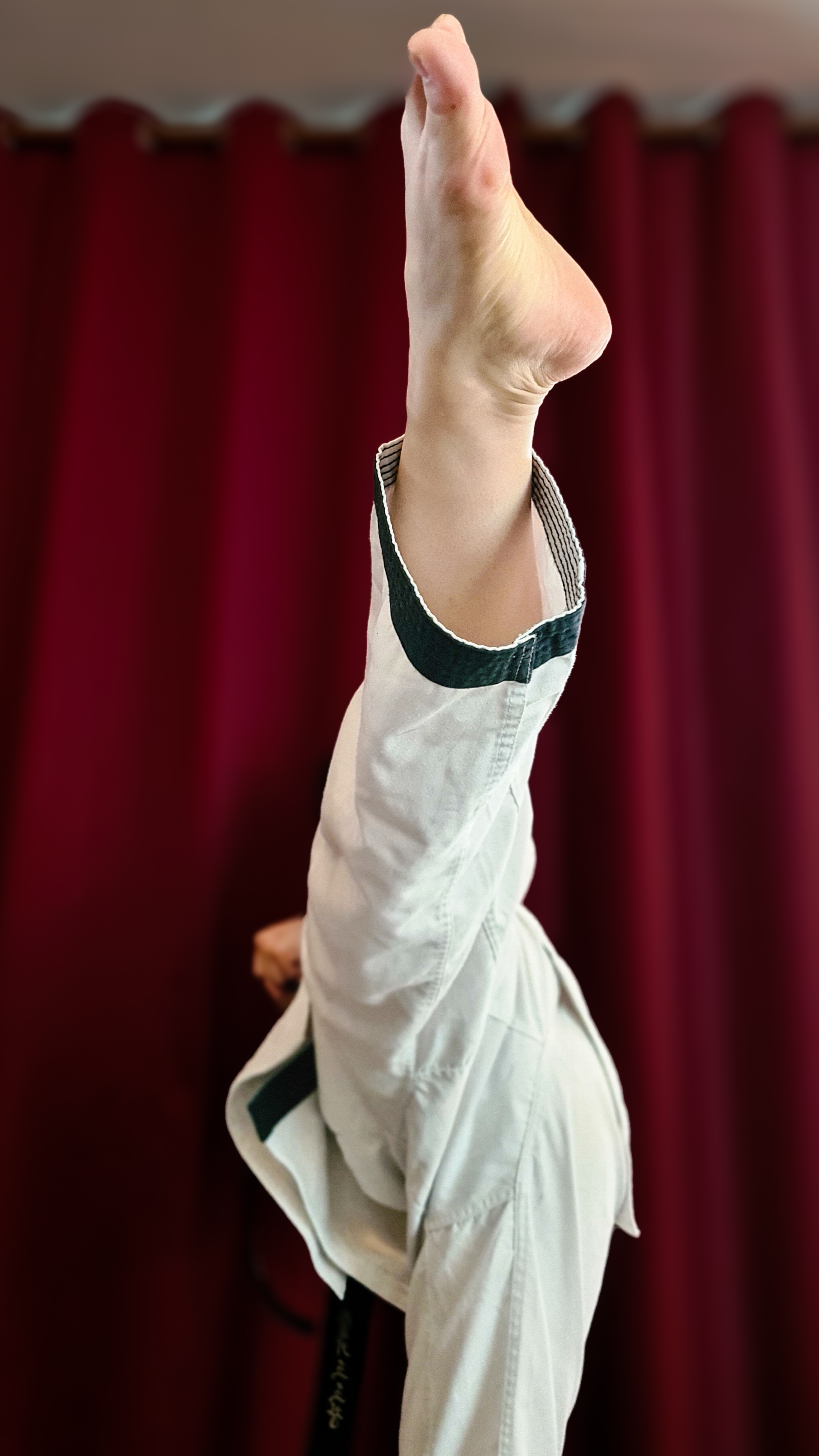 Precision Of Motion, Korean Martial Arts