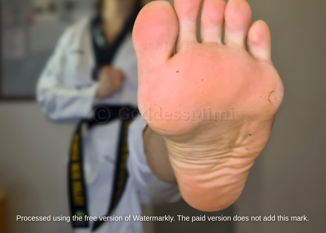 Taekwondo Kicking Feet