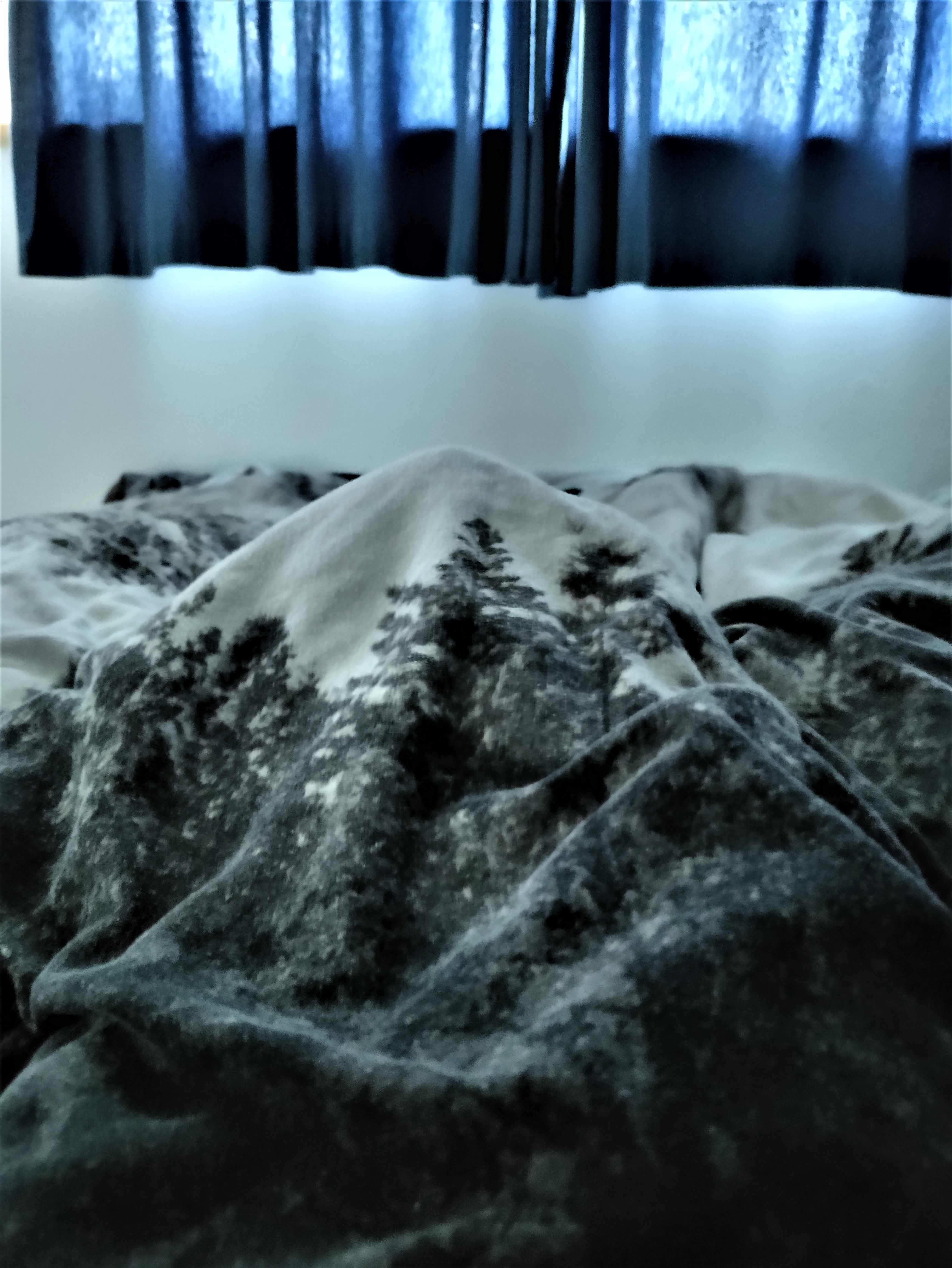 Morning Wood Photoset