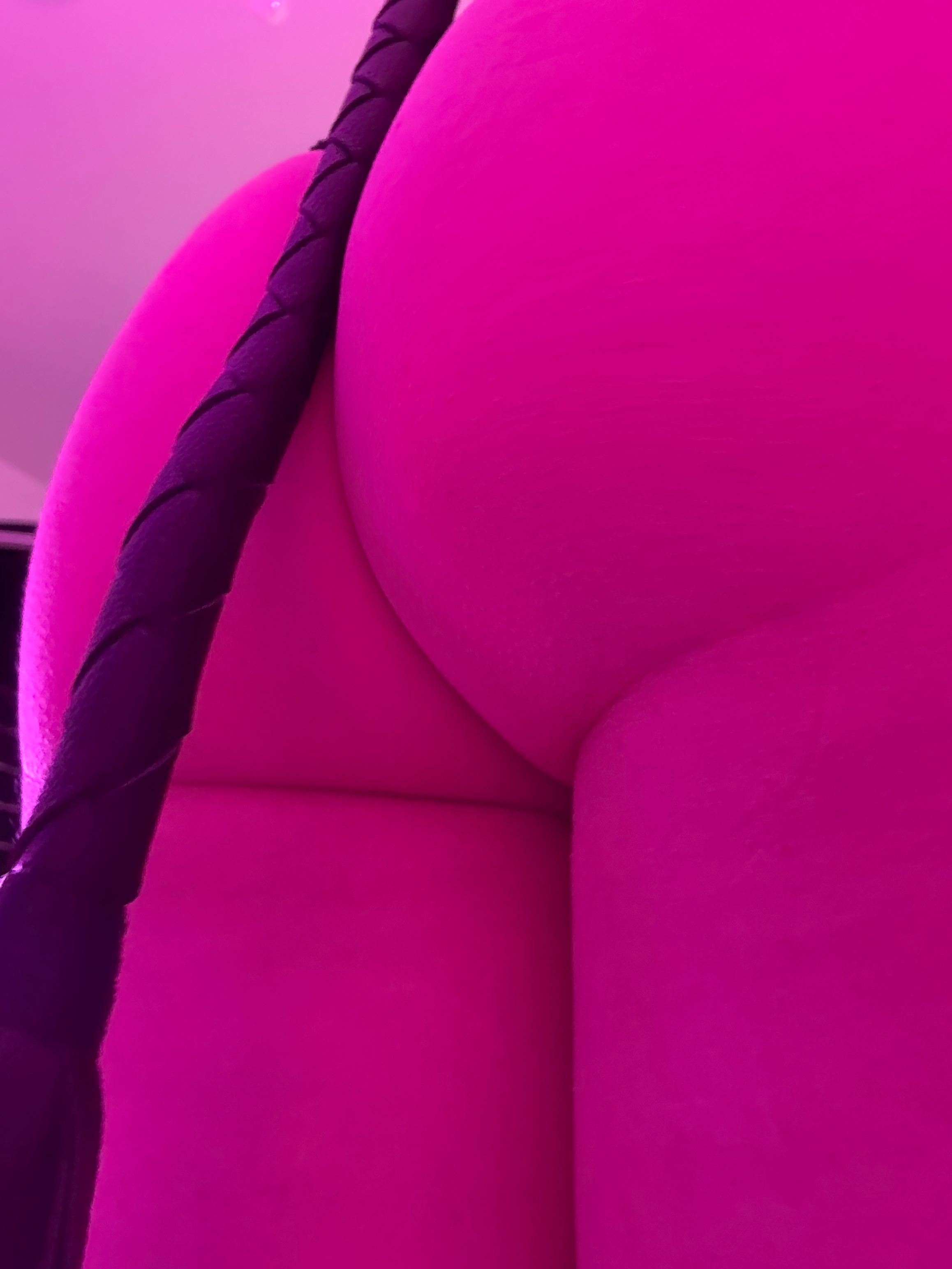 Obedience In Pink