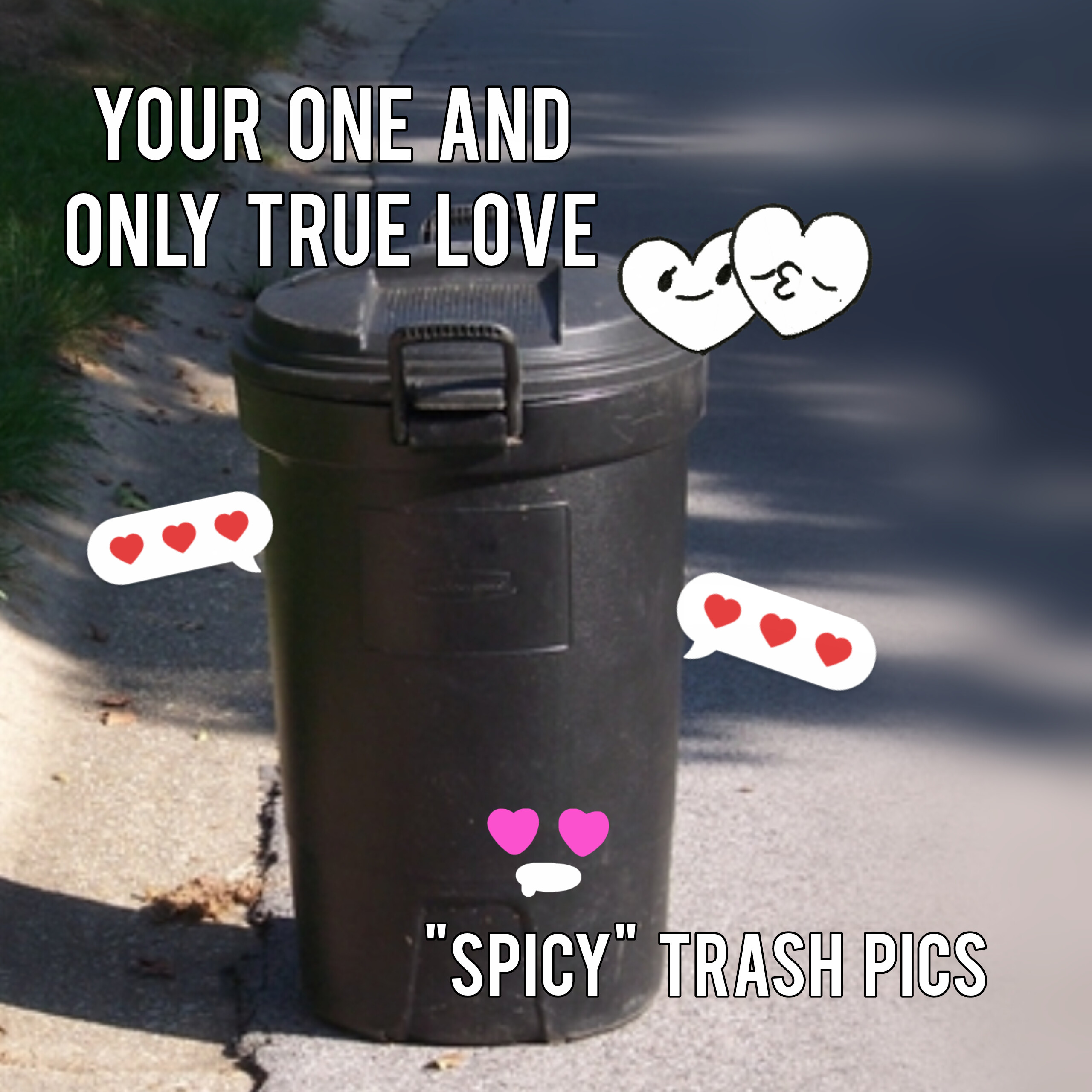 Spicy Trash Pics